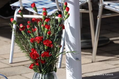 Dan odprtih vrat Društva upokojencev Kamnik (13)